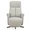 Hudson Swivel Accent Electric Recliner - Stone